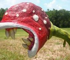 食人花真的能吃人吗 镜面铝板 氧化铝板 拉丝铝板 上海铭保