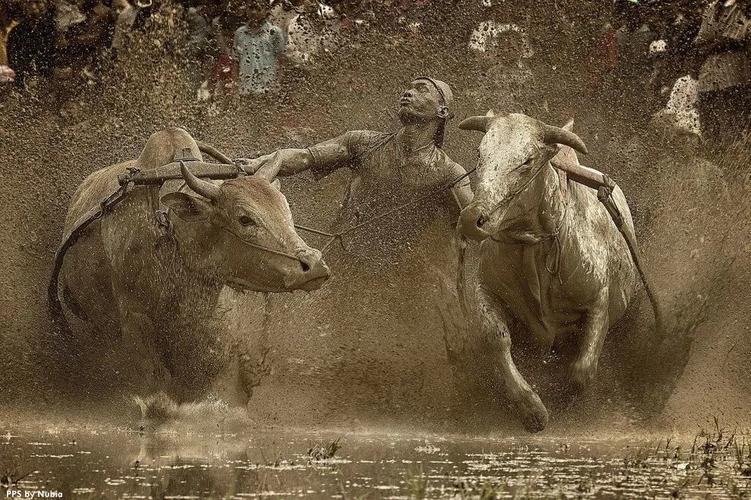 《国家地理》百年经典照片