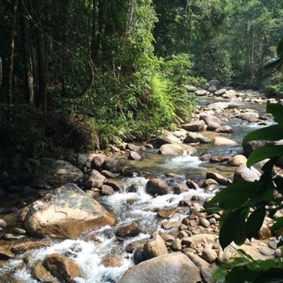 好看风景头像 优美的小溪流水风景