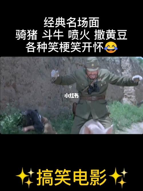 喷火 撒黄豆 骑猪 斗牛 各种笑梗笑开怀98#举起手来