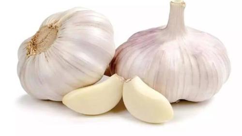首页 蔬果大全 大蒜图片 认识大蒜 大蒜为百合科,葱属 植物的地下鳞茎