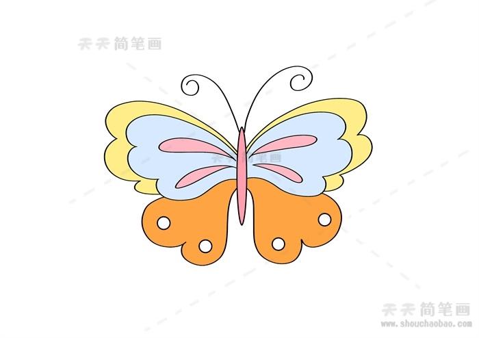简笔画漂亮蝴蝶简笔画教程画蝴蝶的简笔画画法