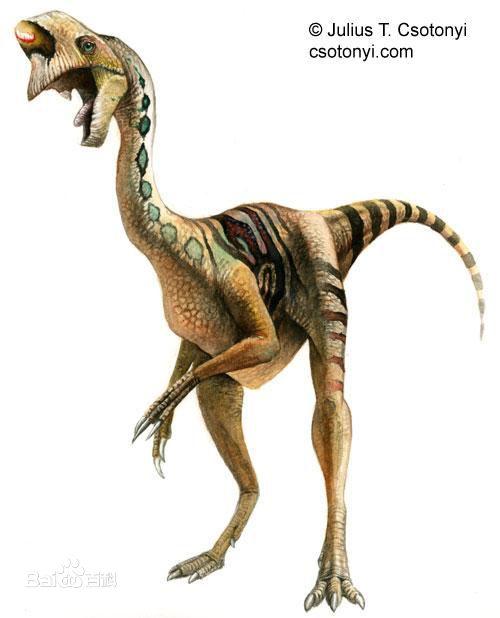 窃蛋龙-偷蛋龙:杂食性:恐龙类