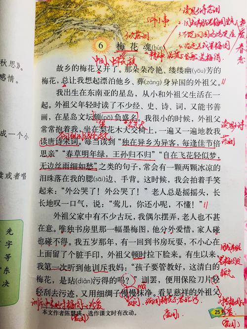 《梅花魂》教学反思