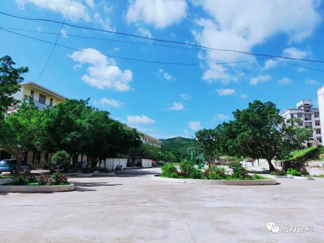 喜讯!藤县金鸡镇初级中学2020年中考创新高