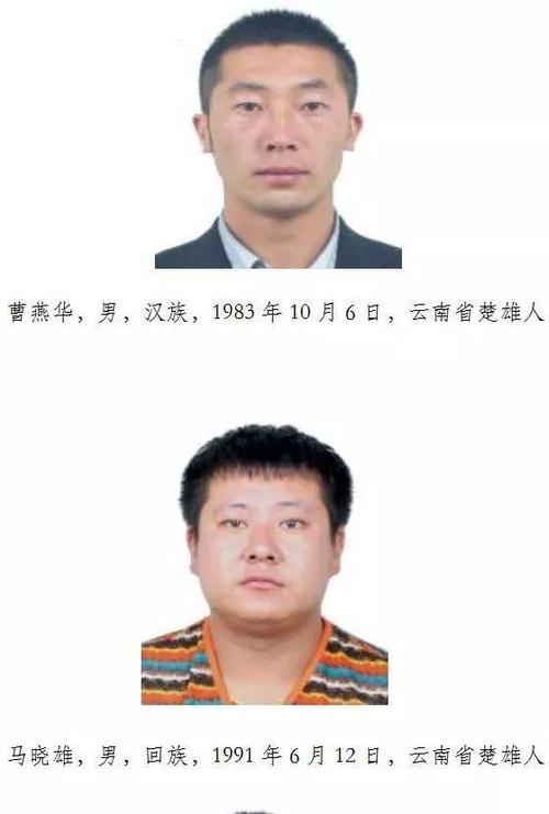 楚雄市扫黑办征集速进林,速进勇,钱龙等人违法犯罪线索