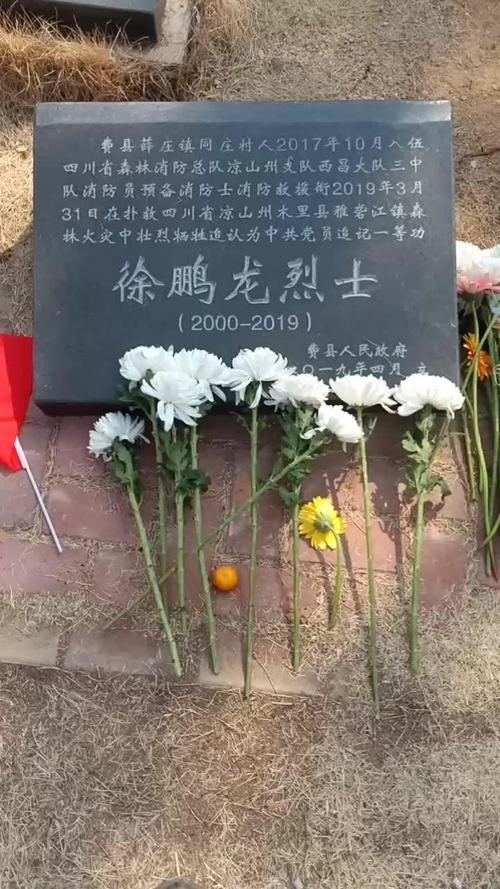 我们费县的人名英雄 心痛徐鹏龙00后 一路走好-千里眼视频-搜狐视频