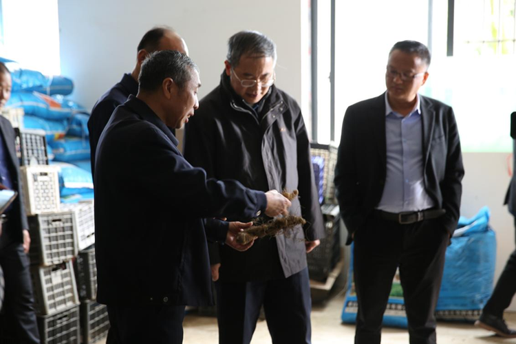 国家林草局发改司一级巡视员杜纪山来青阳调研森林生态标志产品工作