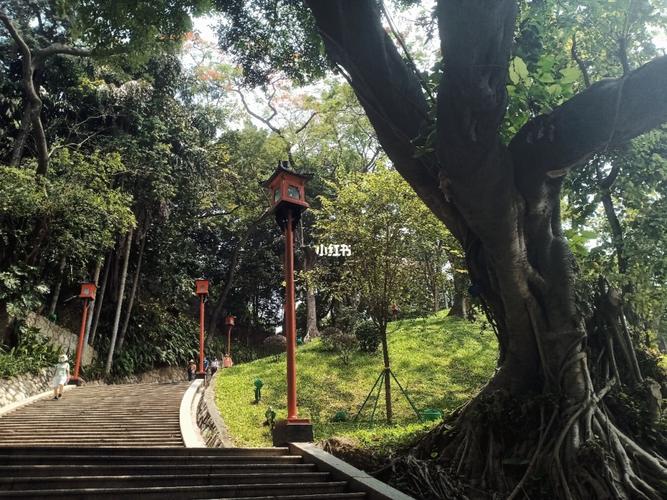 广州越秀公园_越秀公园_旅游攻略_广州旅游攻略_出行