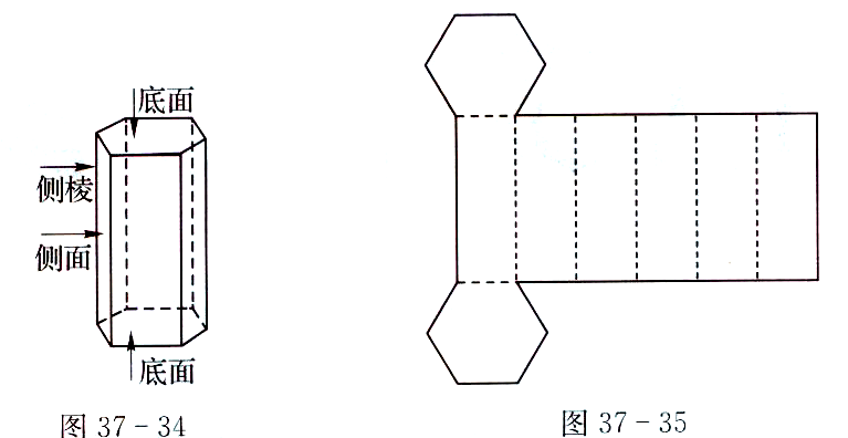 九年级数学几何体的展开图及其应用