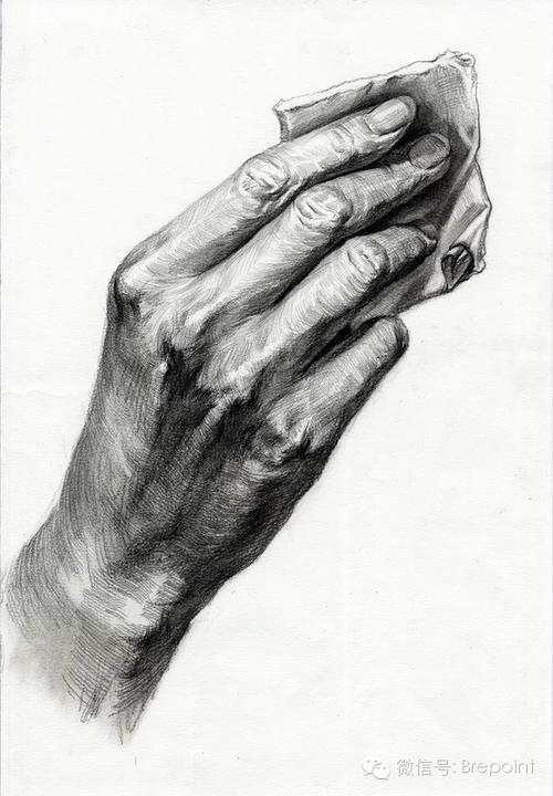 素描手部结构该怎样画献给断点艺术公社所有的学员