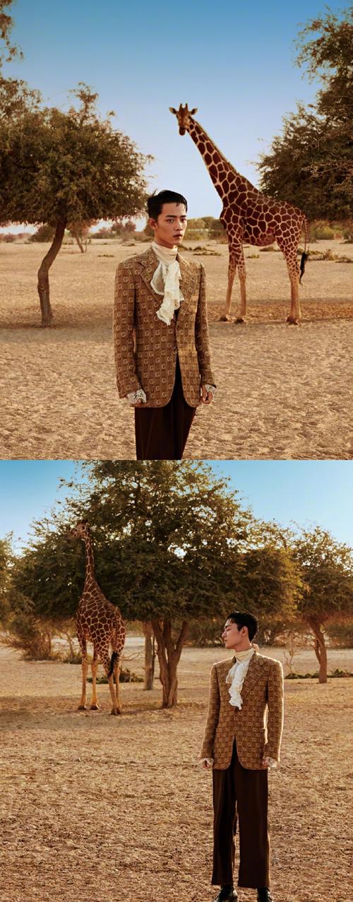 简介:肖战西部牛仔风沙漠写真图片,分享一组肖战图片给大家,图中的