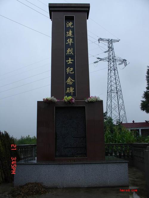沈建华