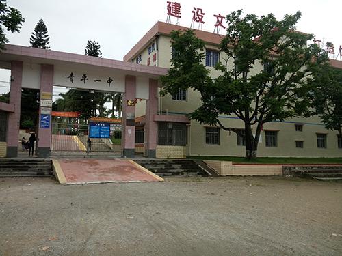 青平镇第一初级中学是一所公立学校,位于廉江市西部.创办于1982年.