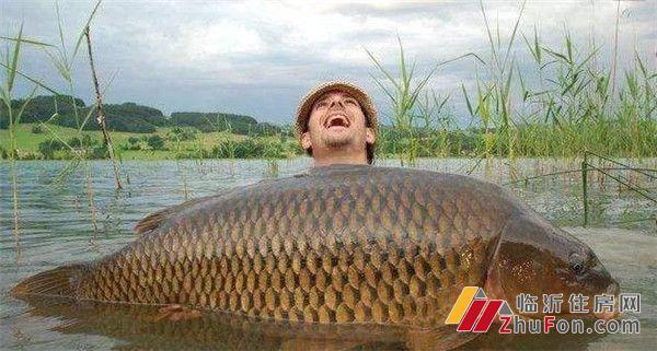 "鱼"乐五月,这个周末快带孩子来卓新·江来徒手抓大鱼