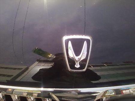 像翅膀一样的车标是什么车