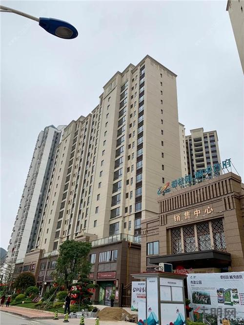 碧桂园·城央首府2月工程进度|共睹美好家园