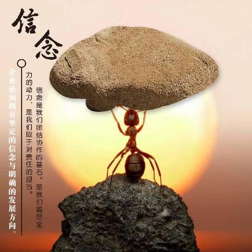 坚定信念 超越自我