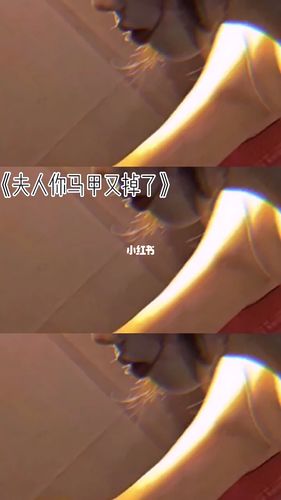 《夫人你马甲又掉了》_马甲_夫人你马甲又掉了_文化