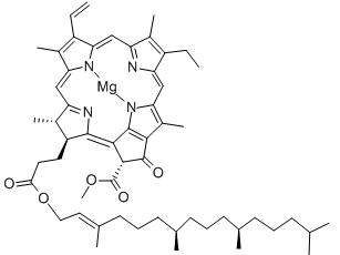 > 产品展示 > 叶绿素a