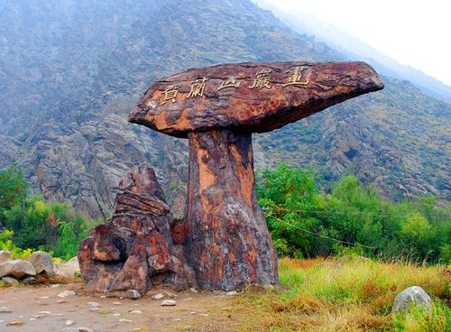 宁夏旅游:从沙漠绿洲到贺兰山岩画(图)