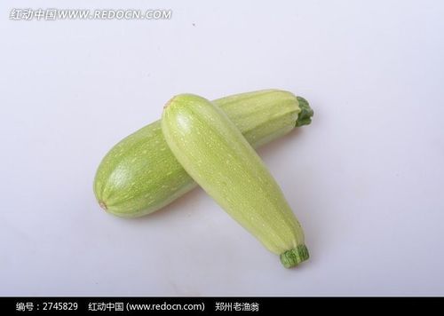 新鲜的番瓜