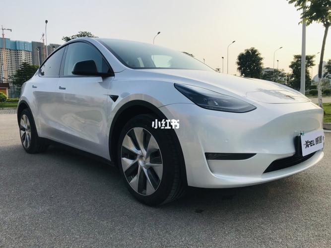 特斯拉毛豆y交车作业_特斯拉怎么样_汽车_汽车介绍