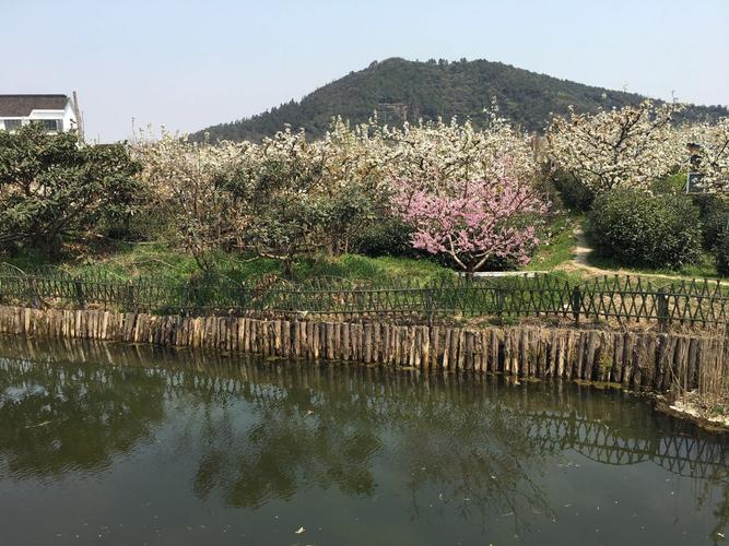  p>树山生态村位于 a href="#" data-lemmaid="2521102">苏州高新区 