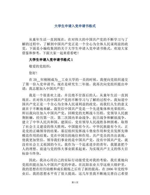 大学生申请入党申请书格式.pdf 11页