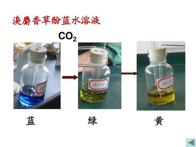 溴麝香草酚蓝水溶液 co2 蓝 绿 黄