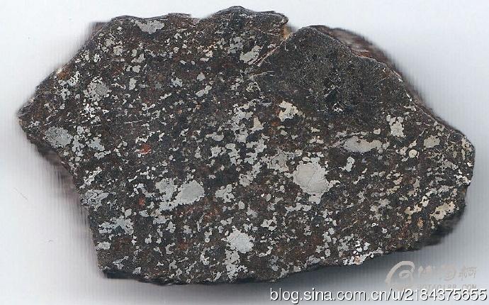 [转载]中铁陨石(石铁陨石)〔高清组图