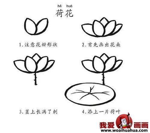 荷花简笔画教步骤