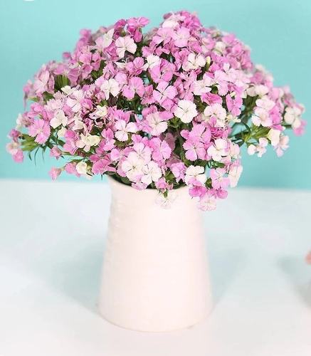 其它 【相思梅】养护须知 写美篇 相思梅的花语:远方的思念.
