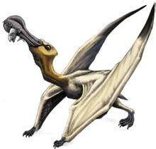 脊颌翼龙图册_百度百科