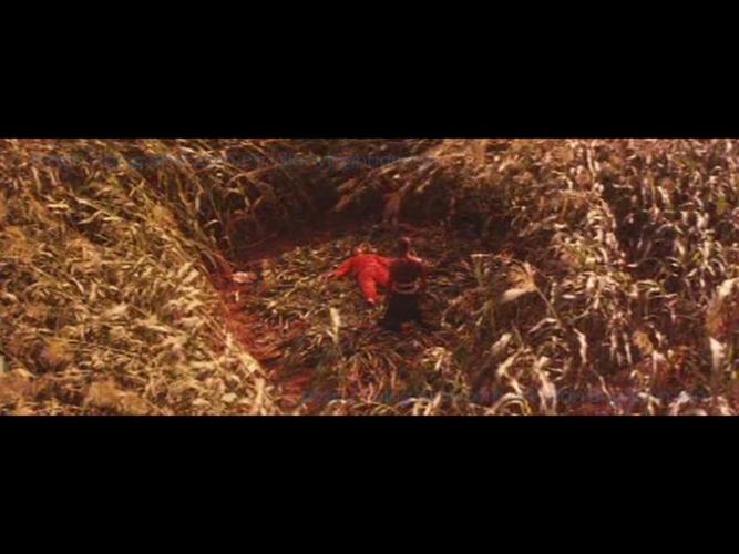 转载红高粱电影画面解析二