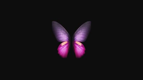 4k三星galaxy fold butterfly 蝴蝶 唯美艺术超高清壁纸