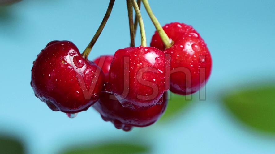 4k樱桃车厘子实拍素材_3840x2160_高清视频素材下载