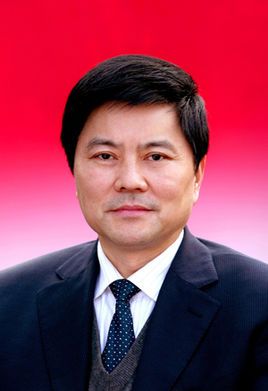 刘国强(四川省国资委党委书记,主任)
