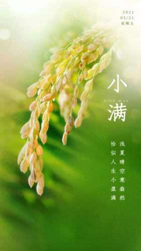 今日小满!