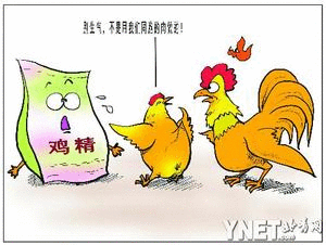 中消协质疑"鸡精"不含"鸡"