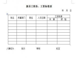 新员工职务,工资标准表(表格模板,doc格式)