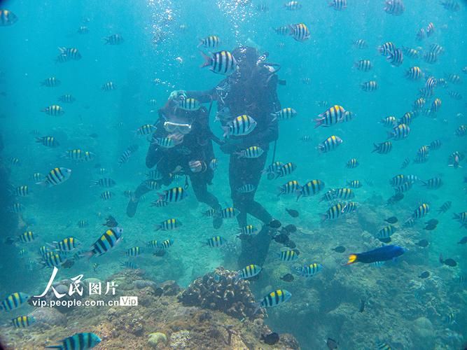 海南陵水畅游海底世界