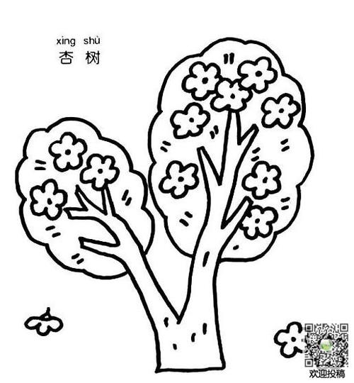 杏树简笔画梨树简笔画