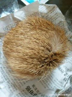 麝香真伪辨别小知识