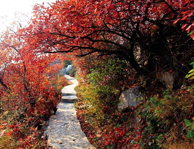 2020巩义长寿山风景区(门票 地址 开放时间 景区介绍