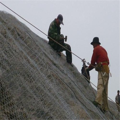 西安客土喷播植草 三维网喷播植草护坡 山体矿山绿化