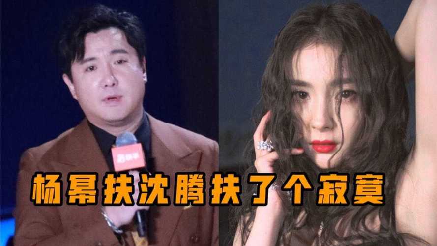 尴尬又好笑杨幂下台阶想扶沈腾结果扶了个寂寞
