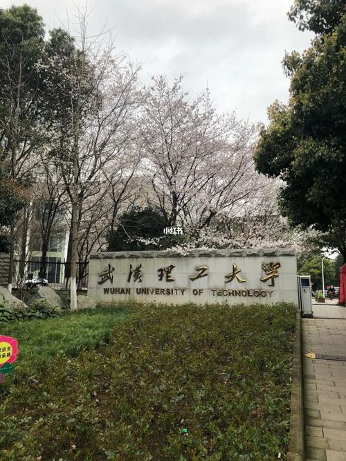 报考武汉理工大学研究生好不好?