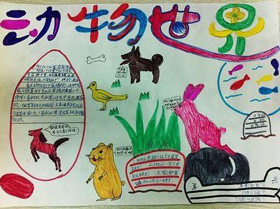 走进动物世界手抄报