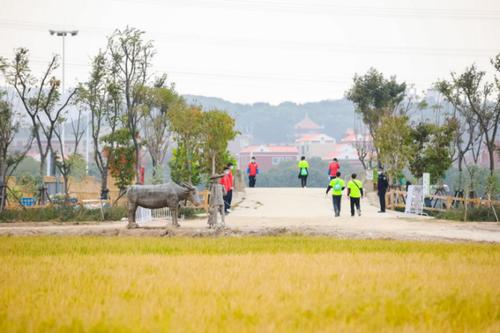 22公里,以晋江九十九溪流域田园风光拓展区稻草城堡为起点,沿九十九溪